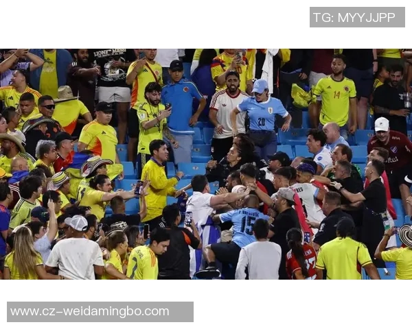 球场冲突升级：球星间的激烈对抗与足球比赛中的暴力事件分析